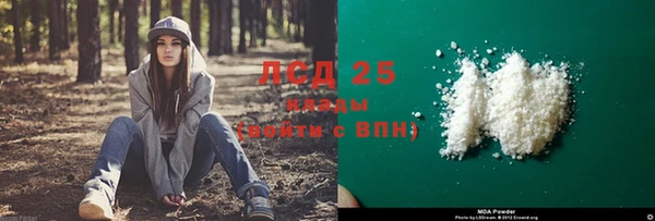 2c-b Ельня