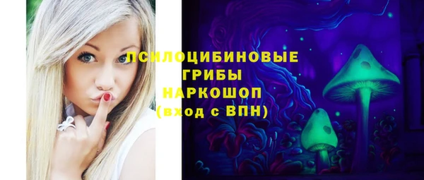 гидра Заволжье