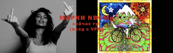 2c-b Ельня