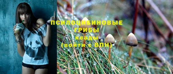 трава Елабуга