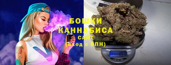 2c-b Ельня