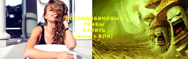 2c-b Ельня