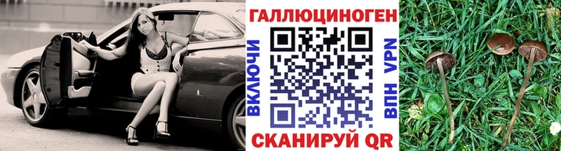 Галлюциногенные грибы GOLDEN TEACHER  Курган 